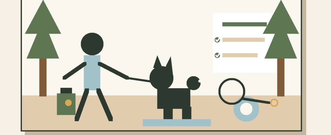 10 Practical Dog Training Tips for Everyday Manners
